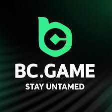 Exploring the Exciting Bonuses at BC.Game -211815124