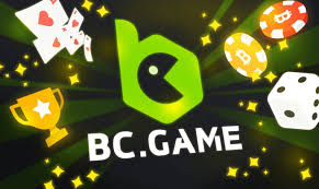 Understanding the BC.Game Login Process A Step-by-Step Guide